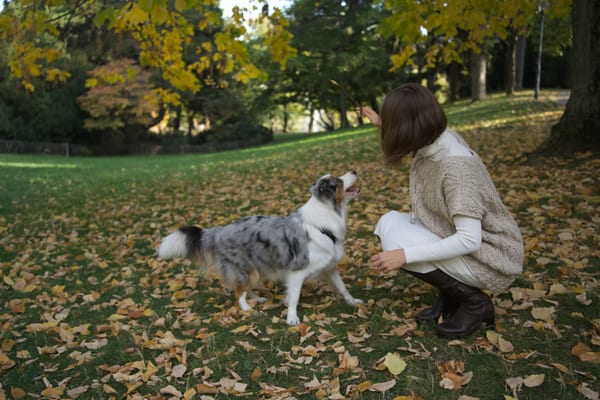 Woman crouching in the leaves as her dog comes over to her