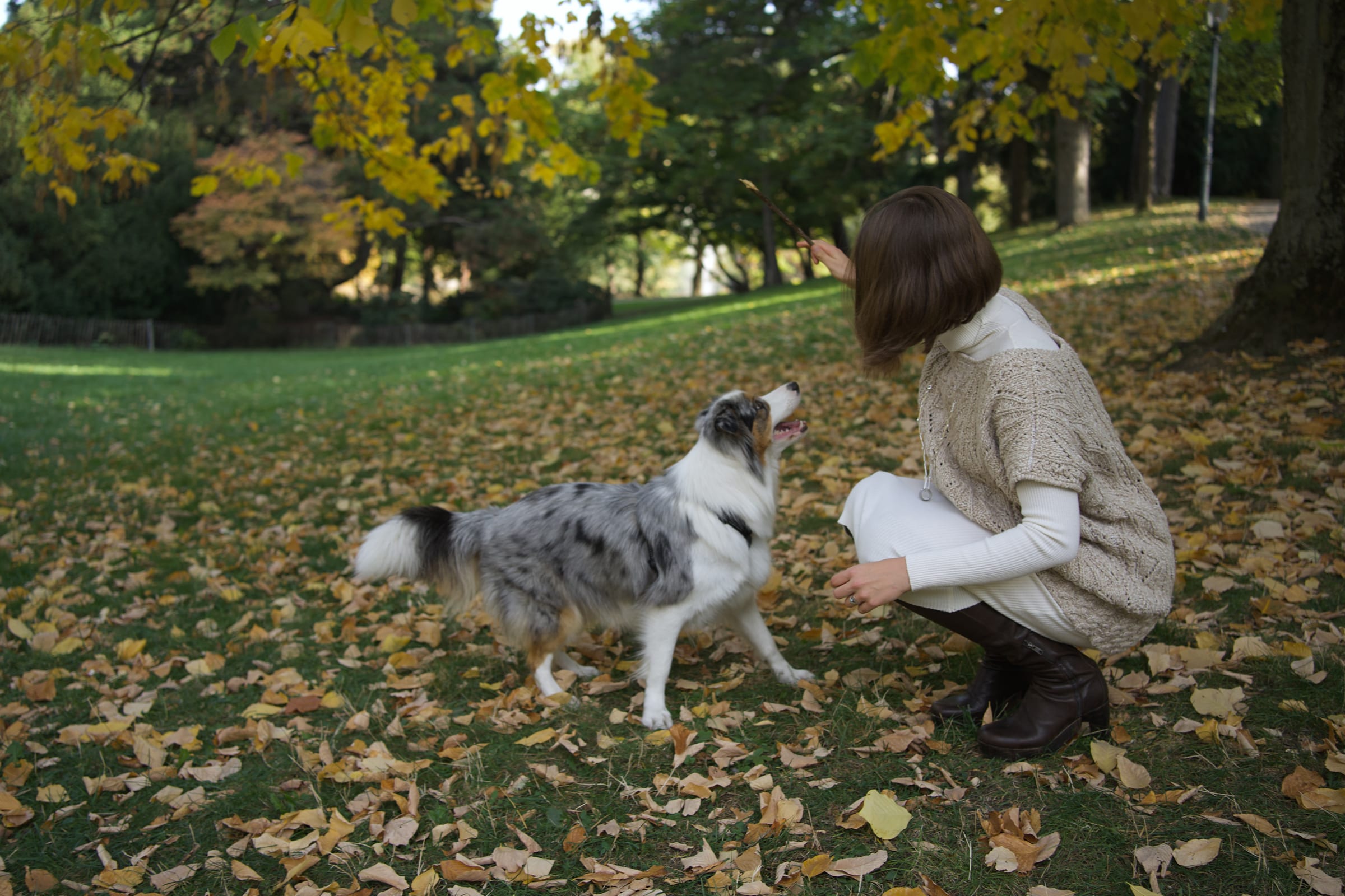 Woman crouching in the leaves as her dog comes over to her