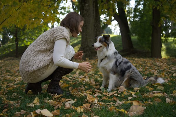 Woman crouching in front of her dog, who sits on the leaf-covered grass