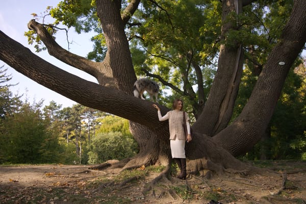 Woman standing by a huge old tree, her dog up on one of its low branches