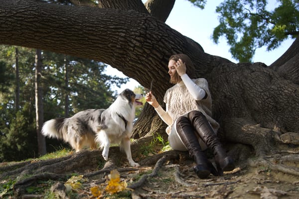 Woman sitting among the roots of an old tree with her dog standing next to her