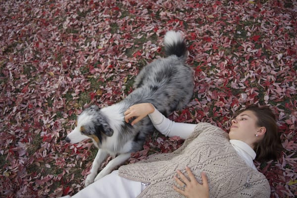 Woman lying on red leaves with her dog standing over her