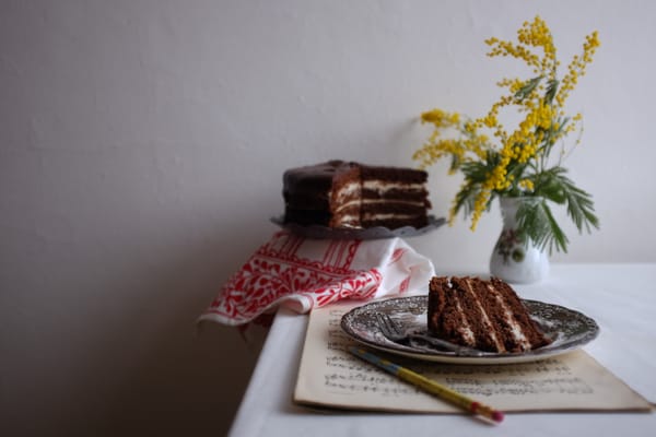 Side view of layered chocolate cake slice with whole cake and yellow mimosa blossoms in background