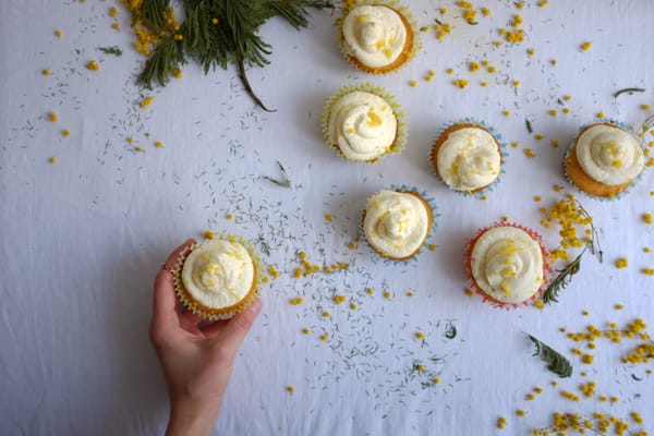 Seven lemon cupcakes in pastel liners spread on white linen with mimosa flowers and scattered buds