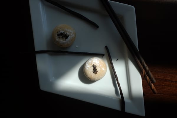Two mochi with black sesame crumbs on a white square plate with vanilla pods, dark wood surface