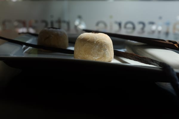 Side view of cream-colored mochi on white plate, backlit by a cafe window with soft bokeh