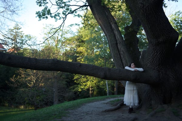 Woman leaning against a dramatic old oak branch, white dress, Vienna park setting
