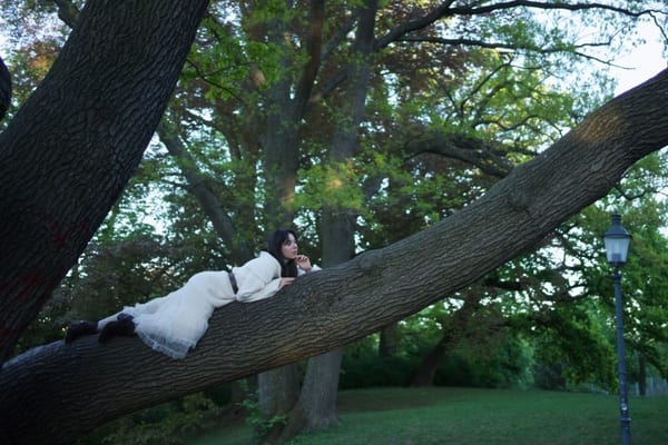 Woman lying on a large tree branch in white dress, moody evening light